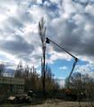 Спил деревьев. Расчистка участков. Покос травы