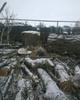 Спил деревьев. Расчистка участков. Покос травы