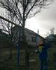 Спил деревьев. Расчистка участков. Покос травы