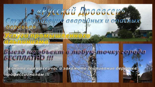 Спиливание деревьев